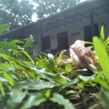 Sigiriya Hillside View Villa Екстер'єр фото