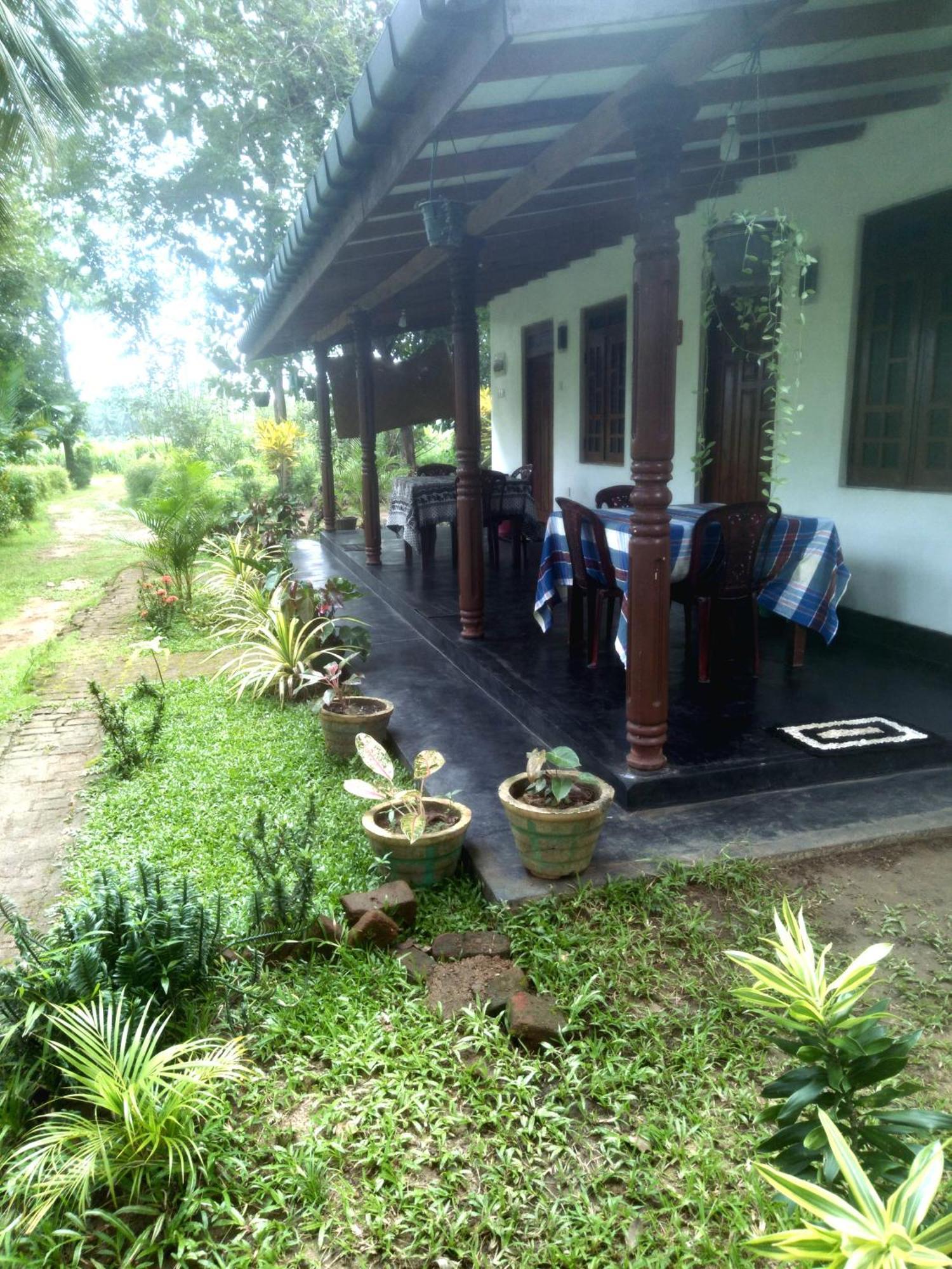 Sigiriya Hillside View Villa Екстер'єр фото
