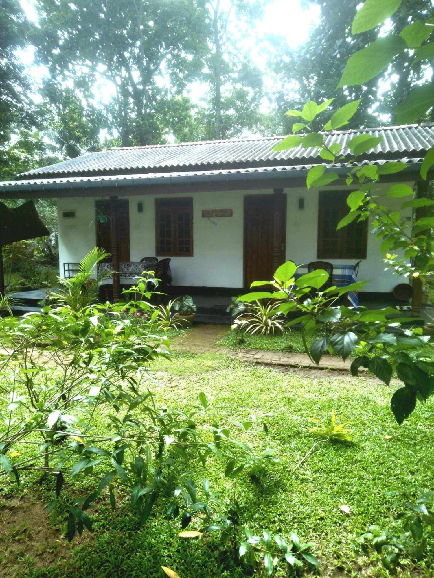 Sigiriya Hillside View Villa Екстер'єр фото