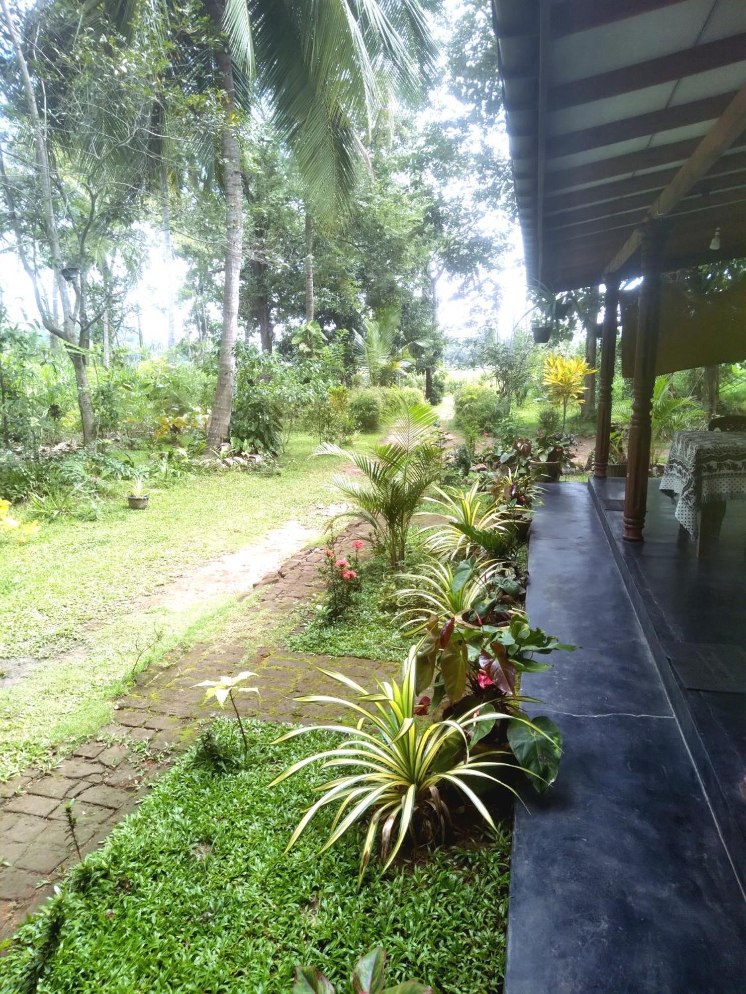 Sigiriya Hillside View Villa Екстер'єр фото